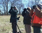 Birders