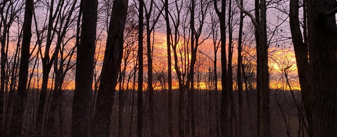 NTOS Spring Count Results